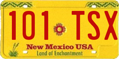 NM license plate 101TSX