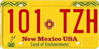 NM license plate 101TZH