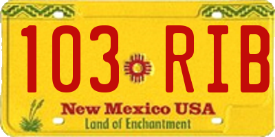 NM license plate 103RIB