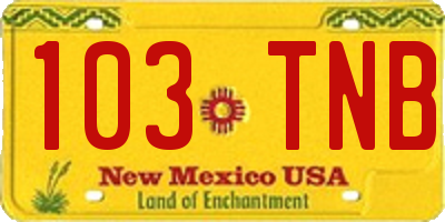 NM license plate 103TNB