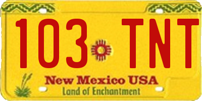 NM license plate 103TNT