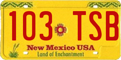 NM license plate 103TSB