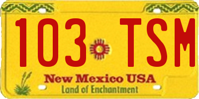 NM license plate 103TSM