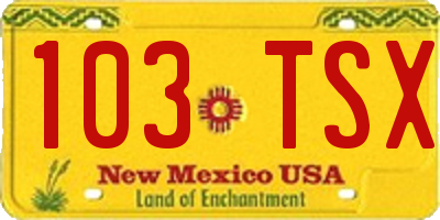 NM license plate 103TSX