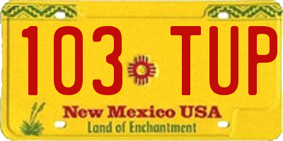 NM license plate 103TUP