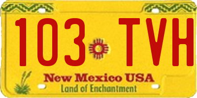 NM license plate 103TVH