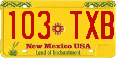 NM license plate 103TXB