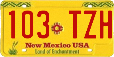 NM license plate 103TZH