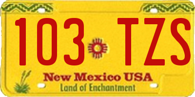 NM license plate 103TZS