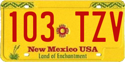 NM license plate 103TZV