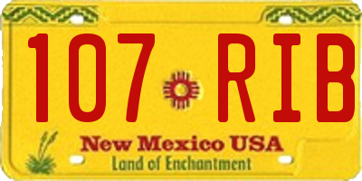 NM license plate 107RIB