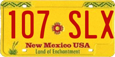 NM license plate 107SLX