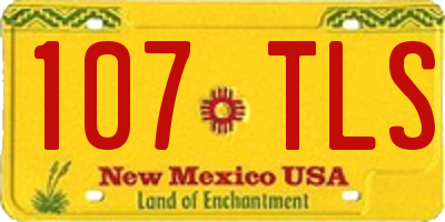 NM license plate 107TLS