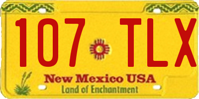 NM license plate 107TLX