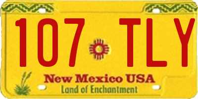NM license plate 107TLY