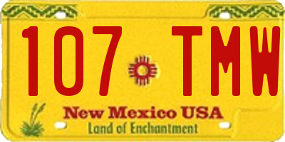 NM license plate 107TMW