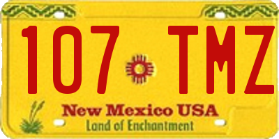 NM license plate 107TMZ