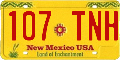 NM license plate 107TNH