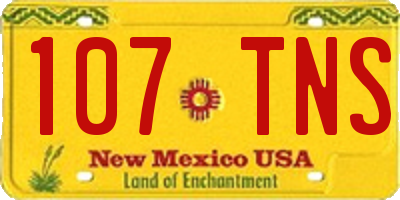 NM license plate 107TNS