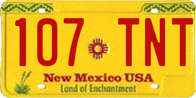 NM license plate 107TNT