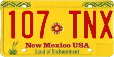 NM license plate 107TNX
