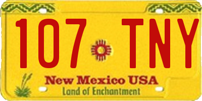 NM license plate 107TNY