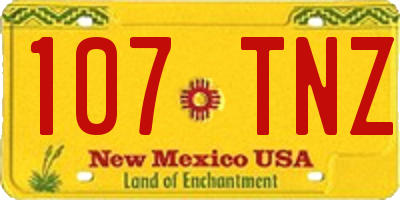 NM license plate 107TNZ