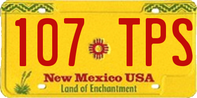NM license plate 107TPS