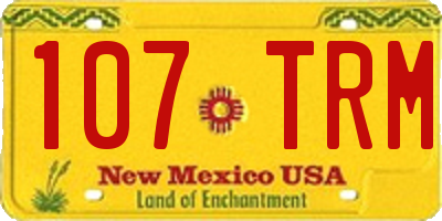 NM license plate 107TRM