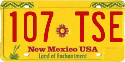 NM license plate 107TSE