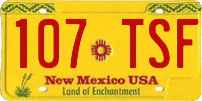 NM license plate 107TSF