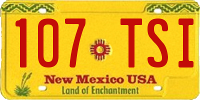 NM license plate 107TSI