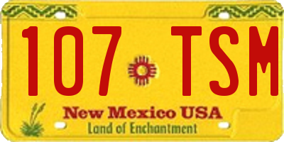 NM license plate 107TSM
