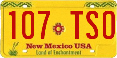 NM license plate 107TSO