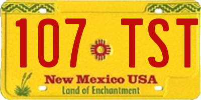 NM license plate 107TST