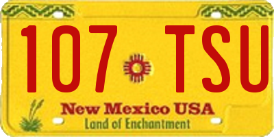 NM license plate 107TSU
