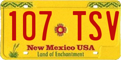 NM license plate 107TSV