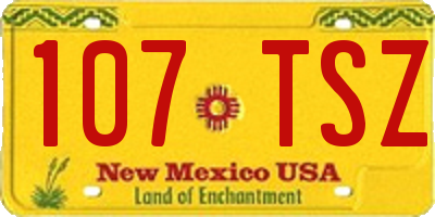 NM license plate 107TSZ