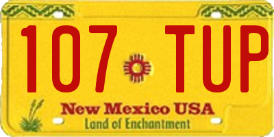 NM license plate 107TUP