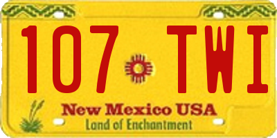NM license plate 107TWI
