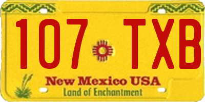 NM license plate 107TXB