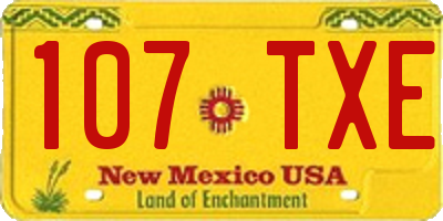 NM license plate 107TXE