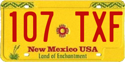 NM license plate 107TXF