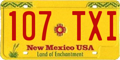 NM license plate 107TXI