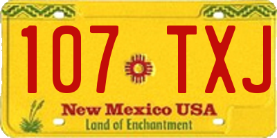 NM license plate 107TXJ
