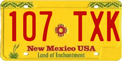 NM license plate 107TXK