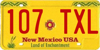 NM license plate 107TXL
