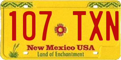 NM license plate 107TXN