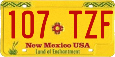 NM license plate 107TZF