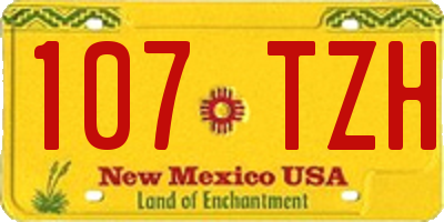 NM license plate 107TZH